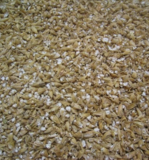 Crushed barley grain for export